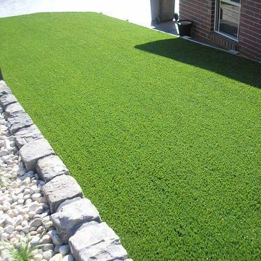 النبات الاصطناعي